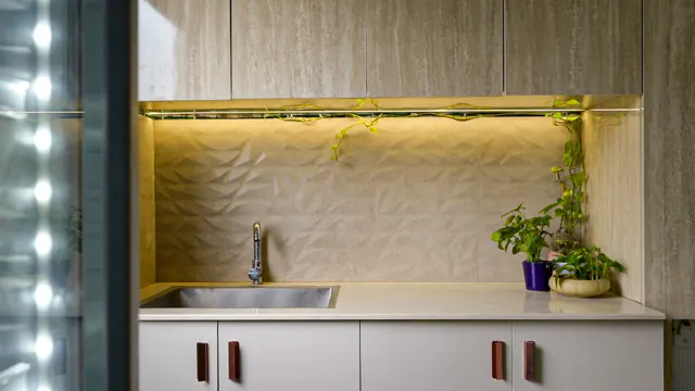 Pantry sink with a textured backsplash (photograph)